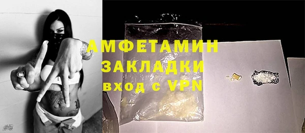 стафф Ельня