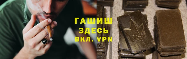 стафф Ельня