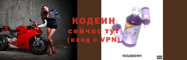 стафф Ельня