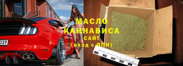 стафф Ельня