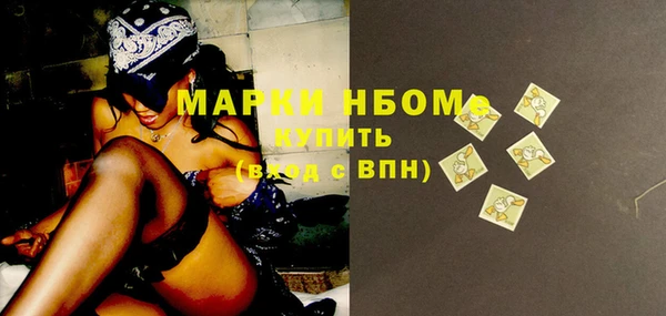 стафф Ельня